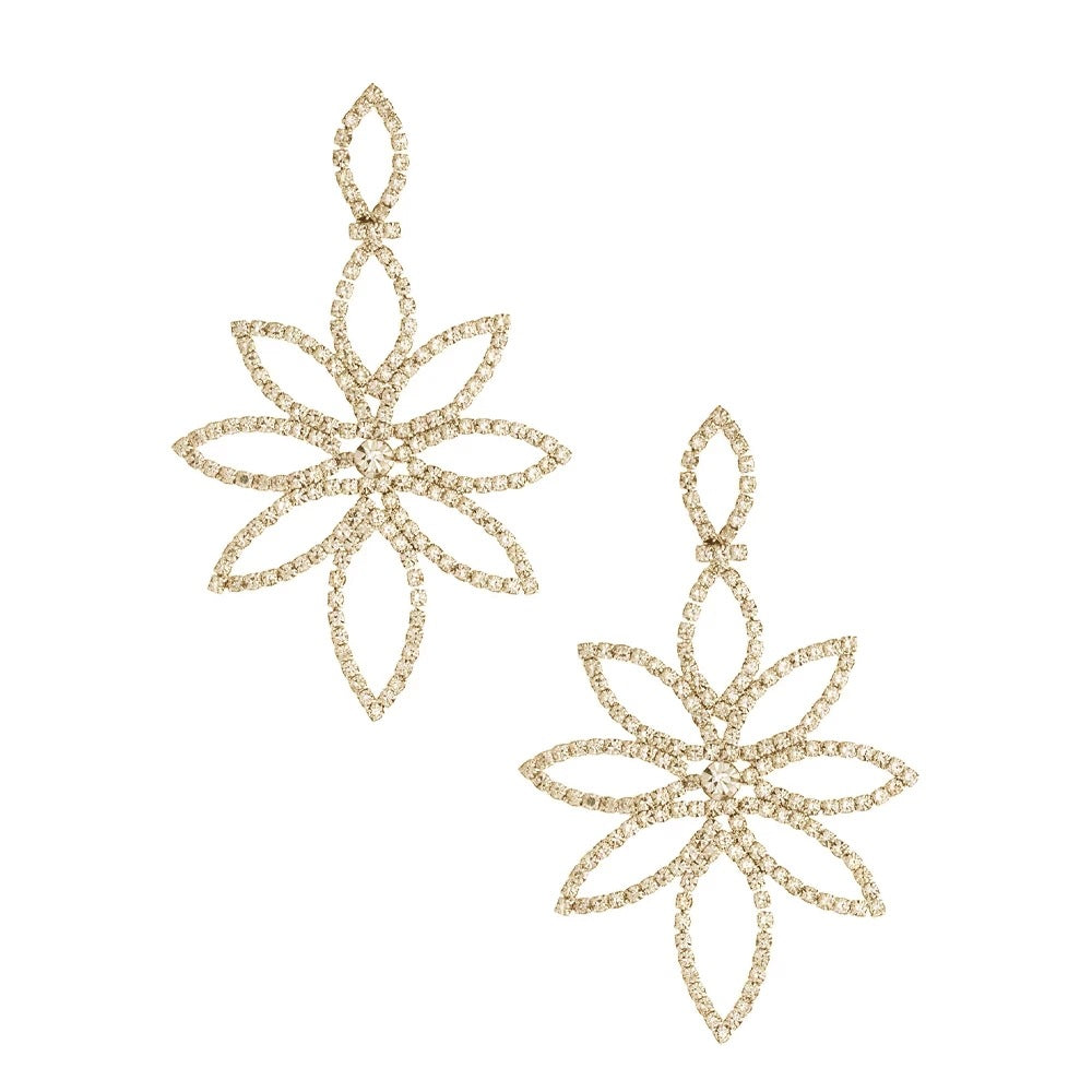 Fashion Earrings