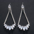 Fashion Earrings