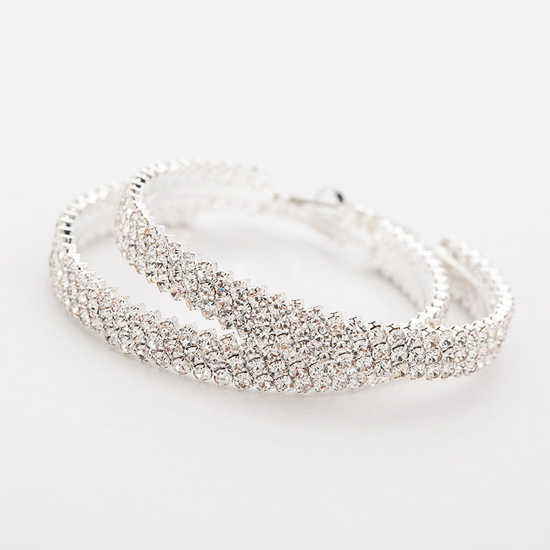 Fashion hoop Earrings