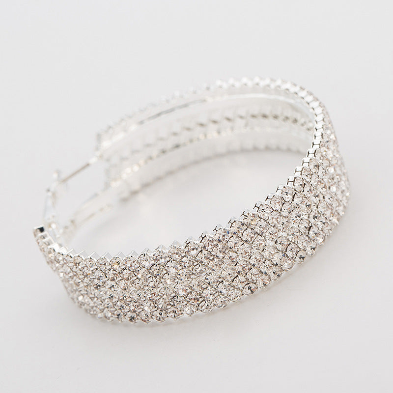 Fashion hoop Earrings